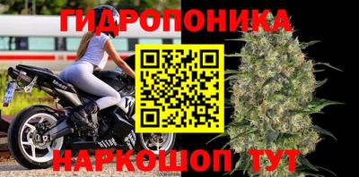 apvp Краснодар