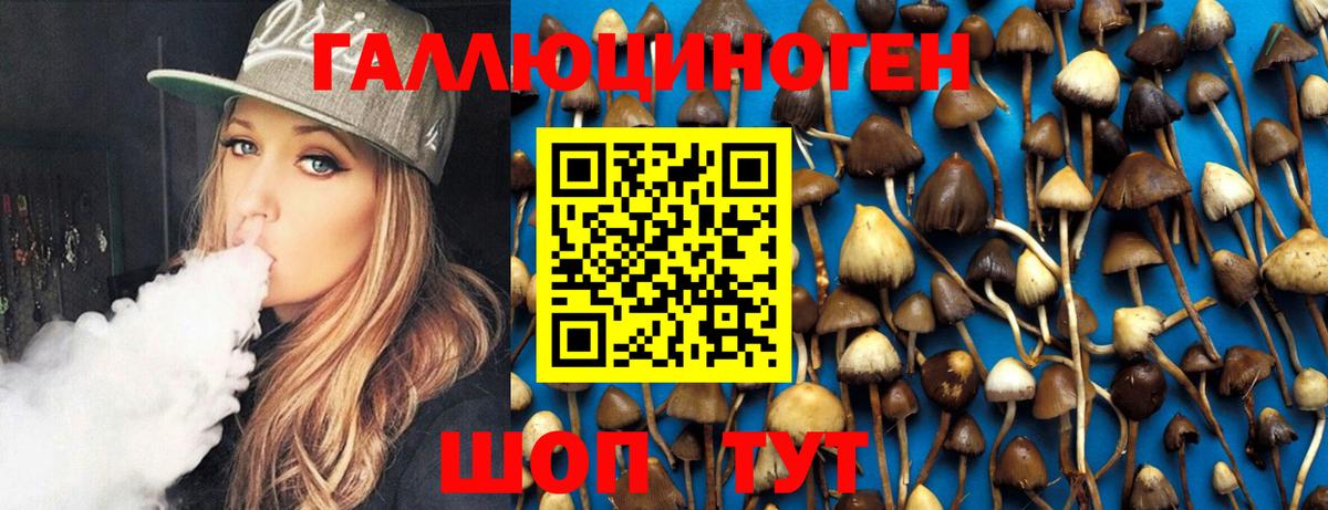 Псилоцибиновые грибы Cubensis Карталы