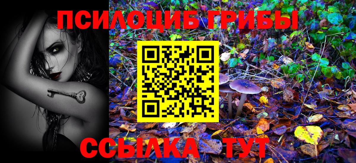 Галлюциногенные грибы MAGIC MUSHROOMS  Вход с VPN  купить  цена  Карталы  Галлюциногенные грибы GOLDEN TEACHER 
